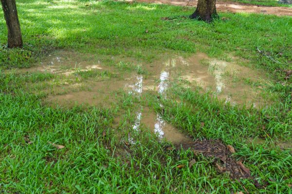 Cost of Storm Water Drainage Service in Tuscaloosa