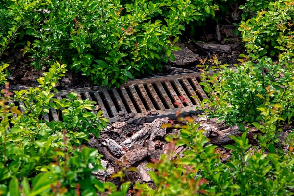 Cost of Underground Drainage Service in Tuscaloosa