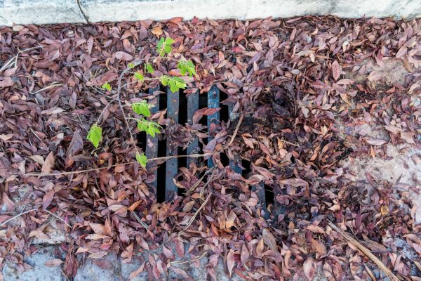 Cost of Yard Drain Unclogging in Tuscaloosa