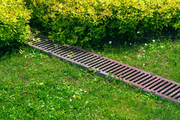 Cost of Lawn Drainage in Tuscaloosa