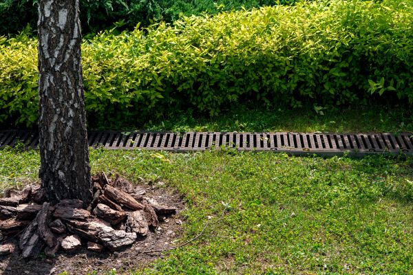 Cost of Yard Water Redirection in Tuscaloosa