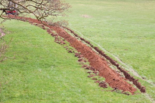 Cost of Swale Installation in Tuscaloosa
