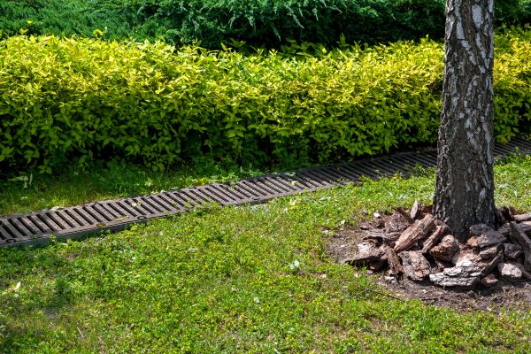 Cost of Residential Landscape Drainage in Tuscaloosa
