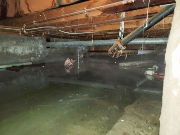 Cost of Crawlspace Drainage in Tuscaloosa
