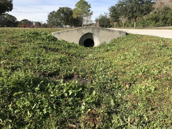 Cost of Swale Drainage Service in Tuscaloosa