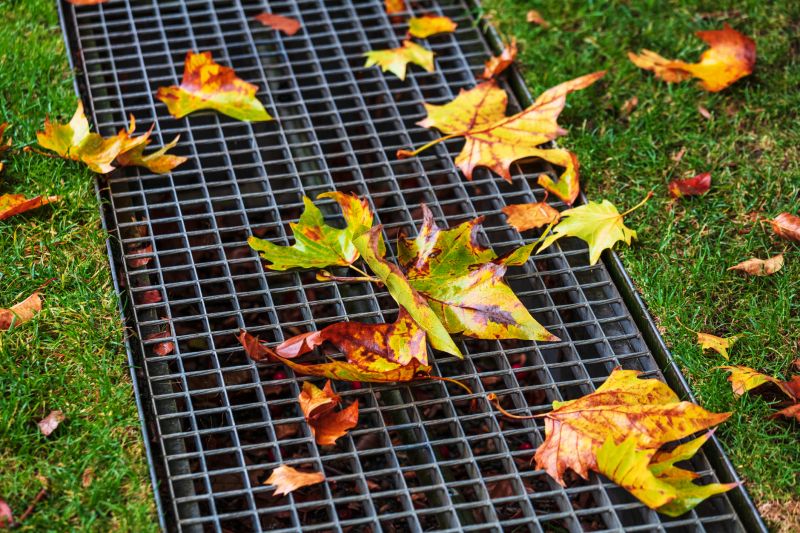 Drainage Maintenance During Fall